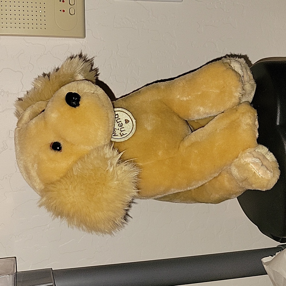 Hallmark My Best Friend Stuffed Dog